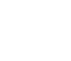 ZigZag Arrow